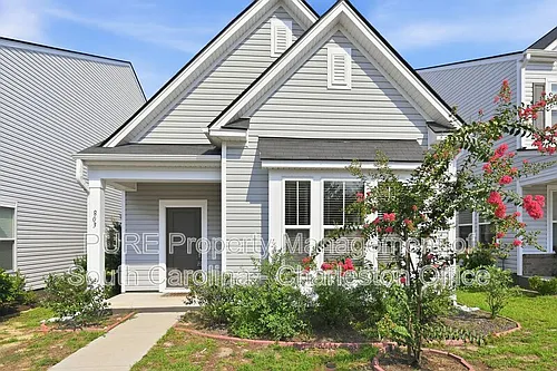 803 Lachicotte Creek Dr Photo 1