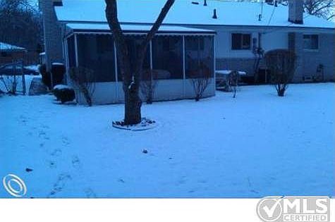 BackYard - Copy.jpg