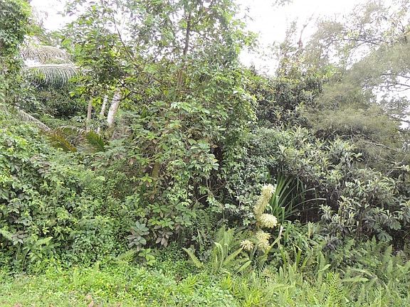 2nd image of 15-1888 14th Ave Lot 430