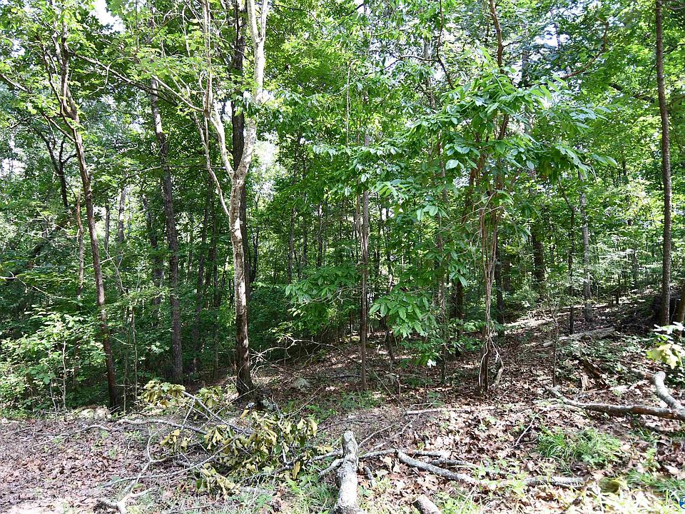 1st image of LOT 67 Prince Cir S