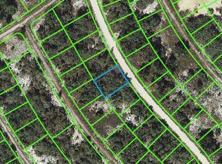 314 Wildwood Dr, Lake Placid, FL 33852