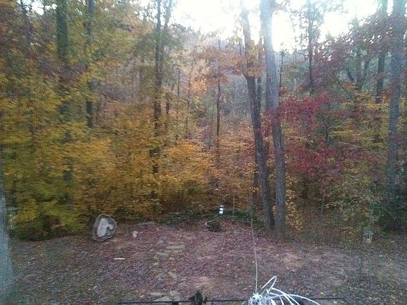 Autumn in the backyard. 