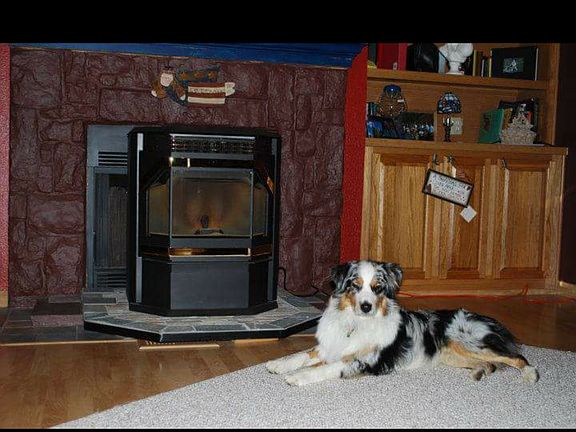 Pellet stove 4 yrs old 