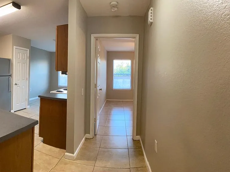 1429 Coriander Dr — Photo 21