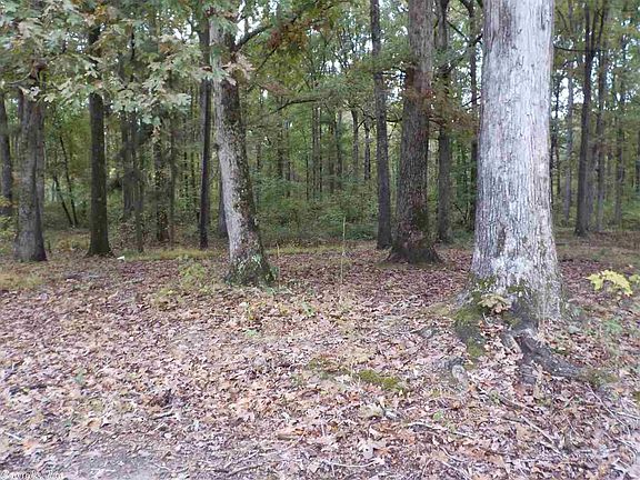 2nd image of 118 Dolly Ln