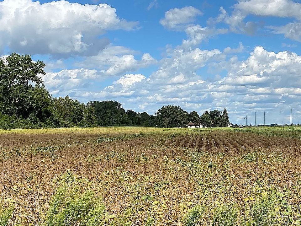 Property line looking east