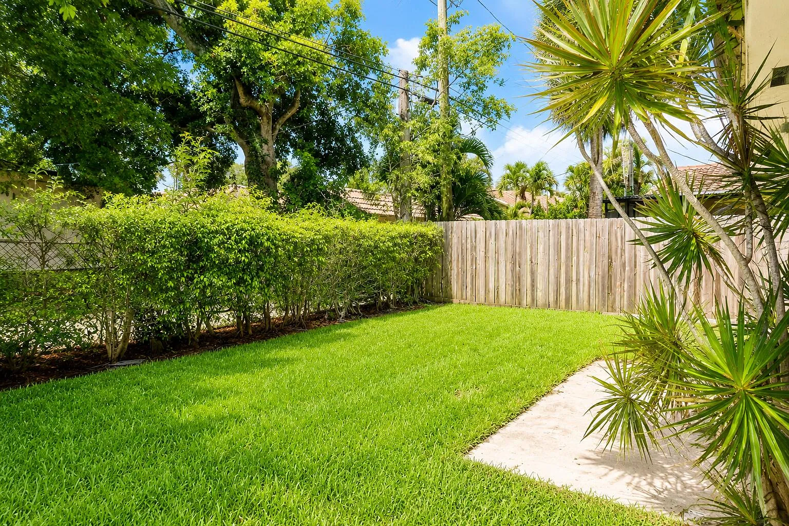 3 bed, 2.0 bath, 1237 sqft, $3,800 — Photo 2