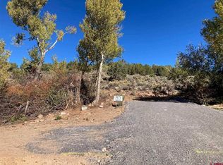 1590 SE 3rd St, Cedaredge, CO 81413