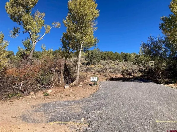 1590 SE 3rd Street, Cedaredge, CO 81413