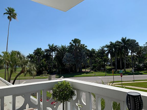 View from patio to Palm Arboretum.