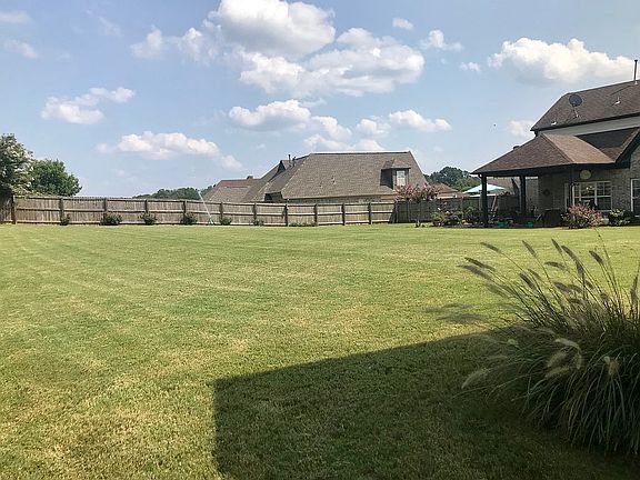 Large Backyard 