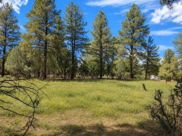 730 Nutria Circle, Pagosa Springs, CO 81147
