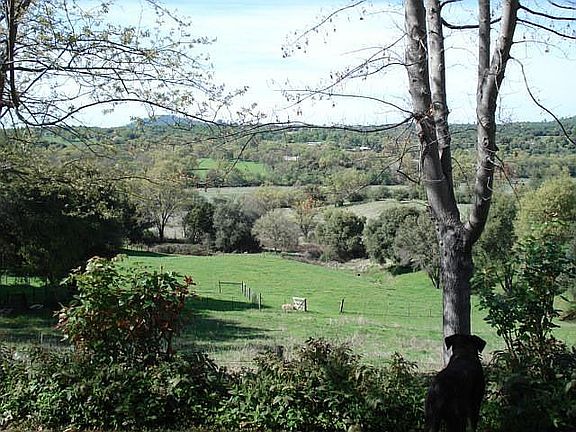 3rd image of 17345 Friendly Valley Pl