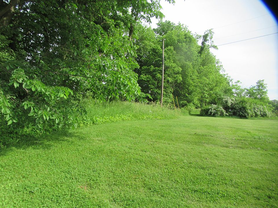 1st image of Williamsville St