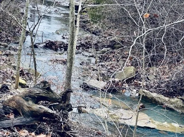001-07426 Mineral Springs Rd #0, West Fork, AR 72774