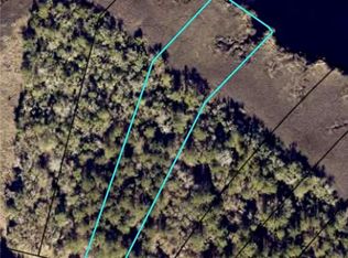 LOT 46 Matthews Launch, White Oak, GA 31568