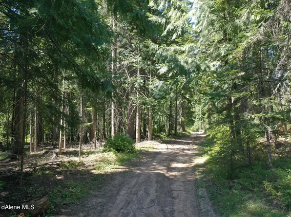 Nka Coldwater Ln, Tensed, ID 83870