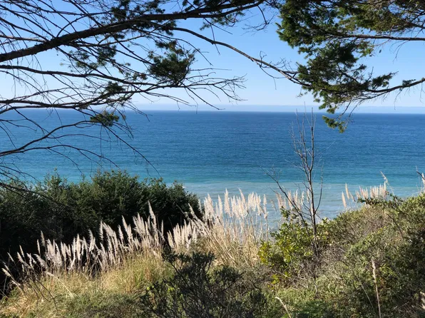 133 Eel Ct, Whitethorn, CA 95589