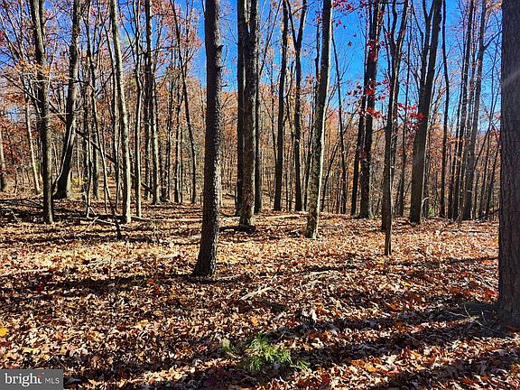 3rd image of 176 Rendezvous Rd