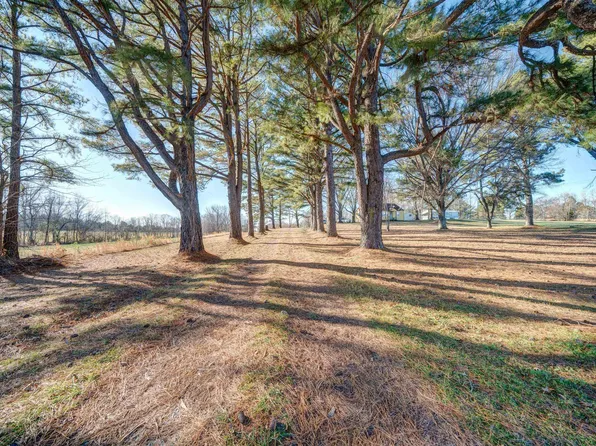 24315 Highway 76 Hwy N, Somerville, TN 38068