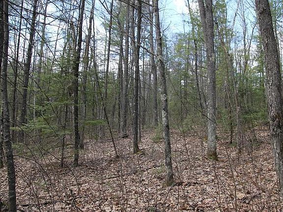 4th image of ON E BASS LAKE RD