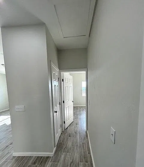 532 Andres - 1 — Photo 2
