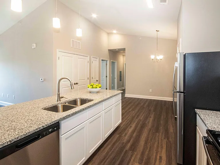 Farragut Pointe — Photo 11