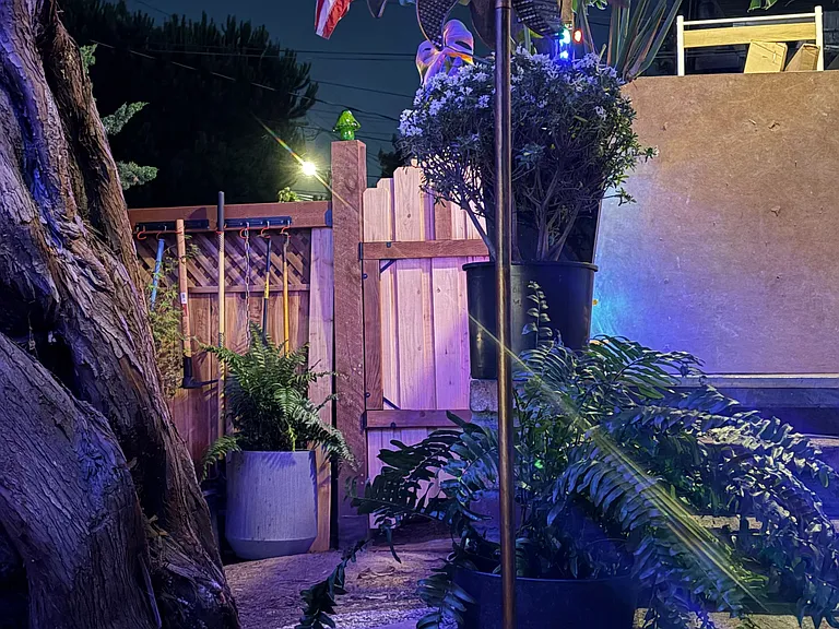 Front yard