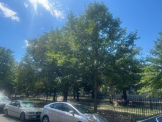 3rd image of 306 Suydam St APT 2R