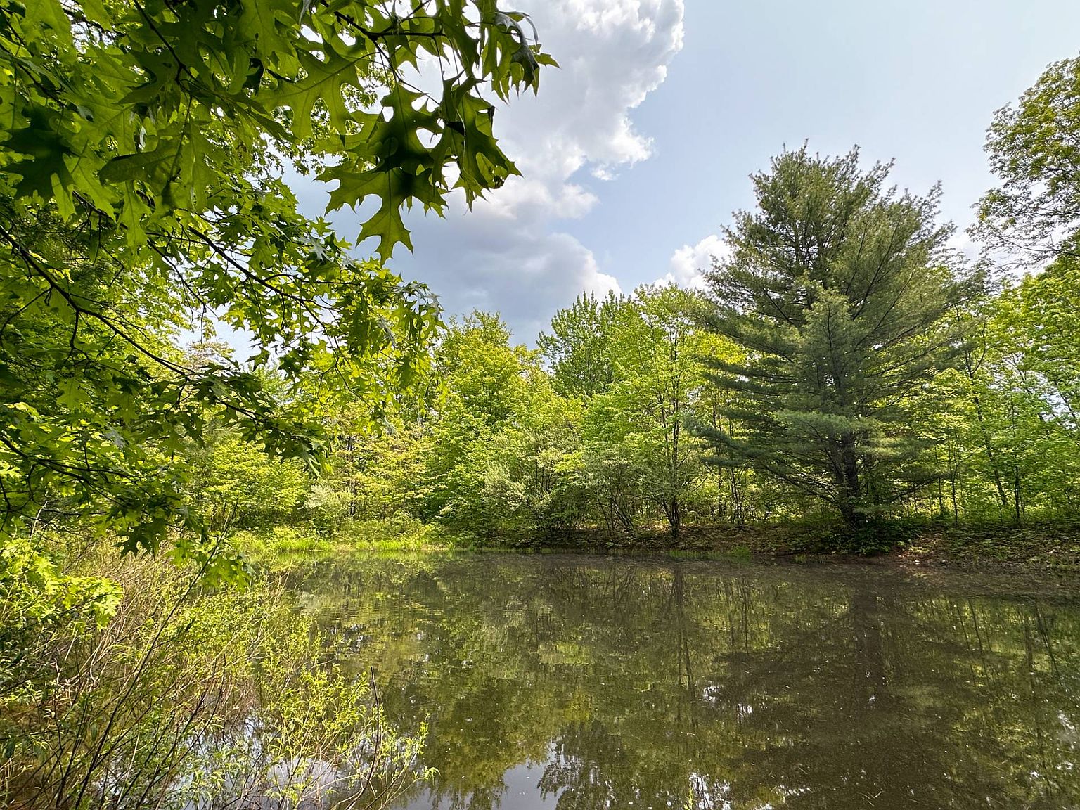 8175 County Route 13, Bath, NY 14810 MLS 11179831 Zillow