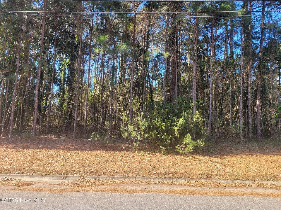2nd image of 2808 Brookhaven Drive