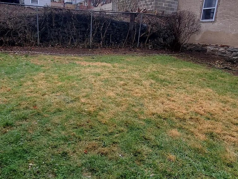 253 Greenwood Ave — Photo 17