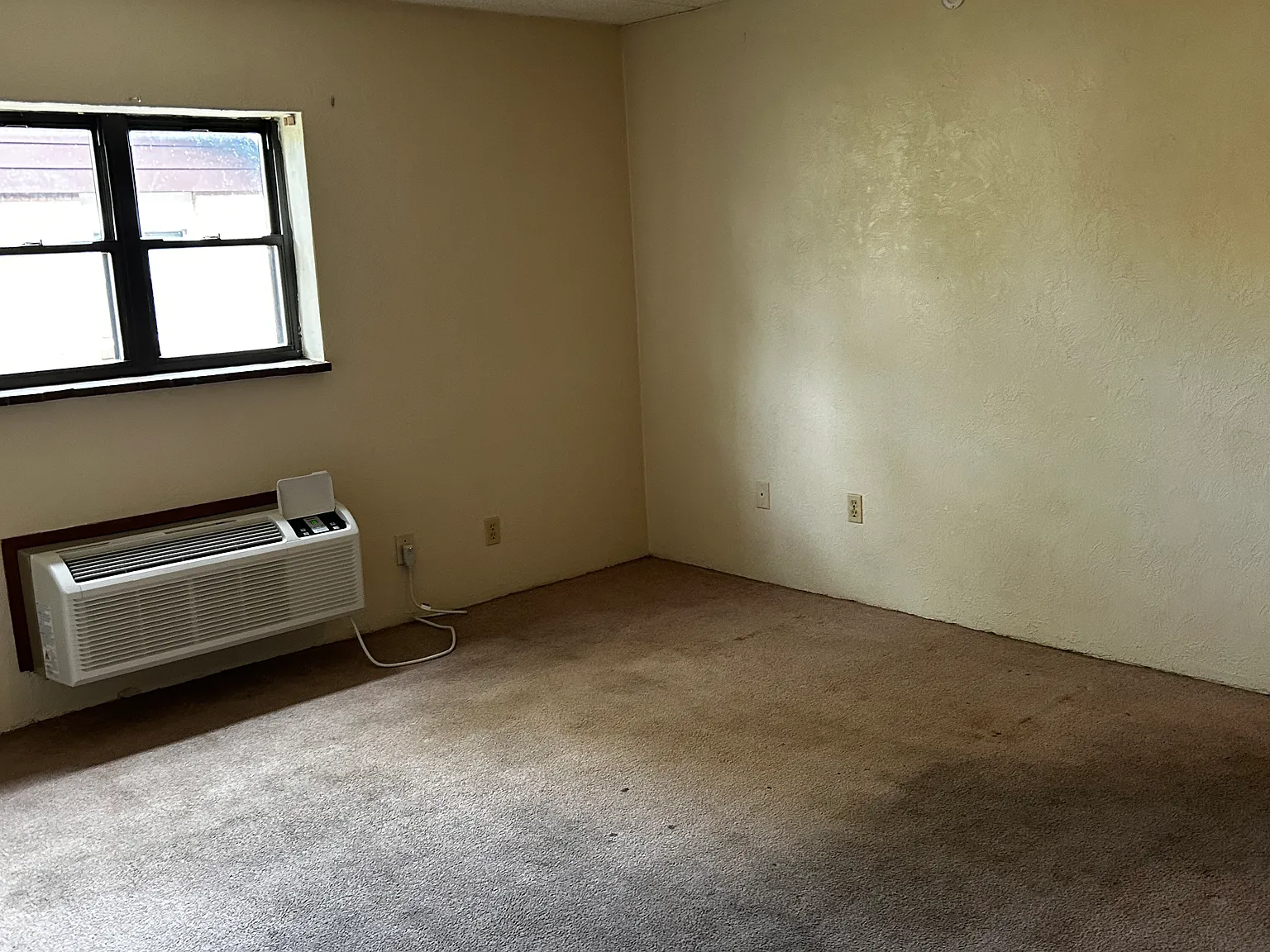 1 bed, 600 sqft, $650 — Photo 2