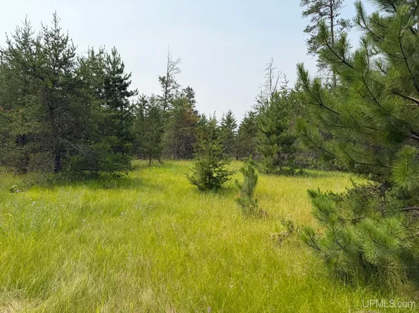 361 E M35 Hwy, Gwinn, MI 49841