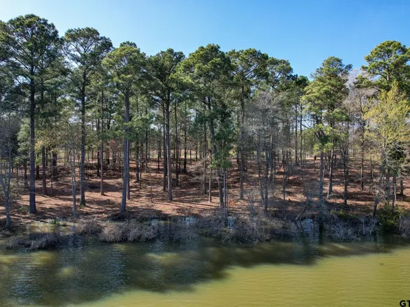 LOT 3 Caddo Trl, Scroggins, TX 75480