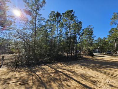 Orchid Ln, Defuniak Springs, FL, 32433