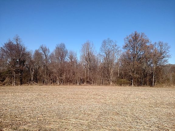 Timber at rear of parcel