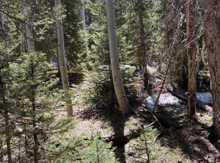 433 Juniper Dr #12, Cimarron, CO 81220