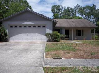 3619 Orangepointe Rd, Valrico, FL 33596