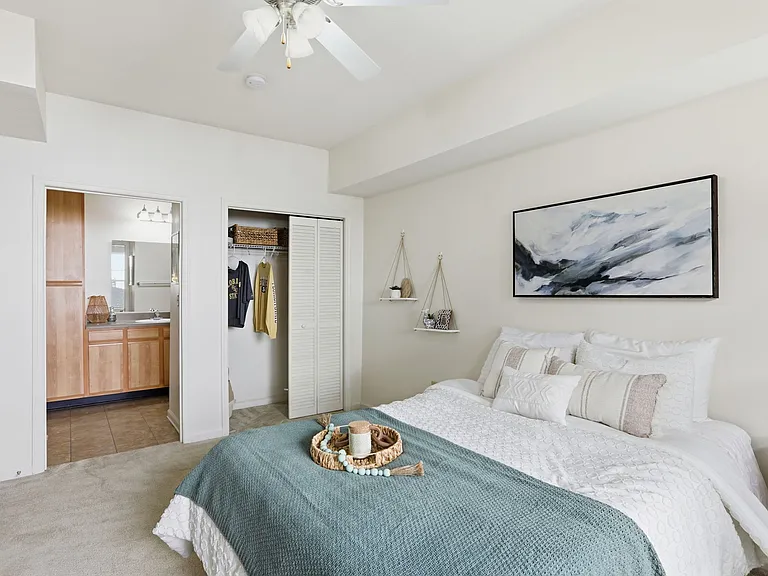Relax in a Spacious, Bright Bedroom at Legacy Student Living Near FSU