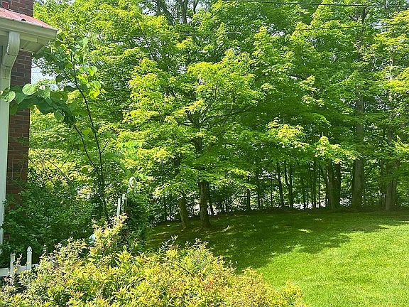 5th image of 8724 Clintwood Hwy