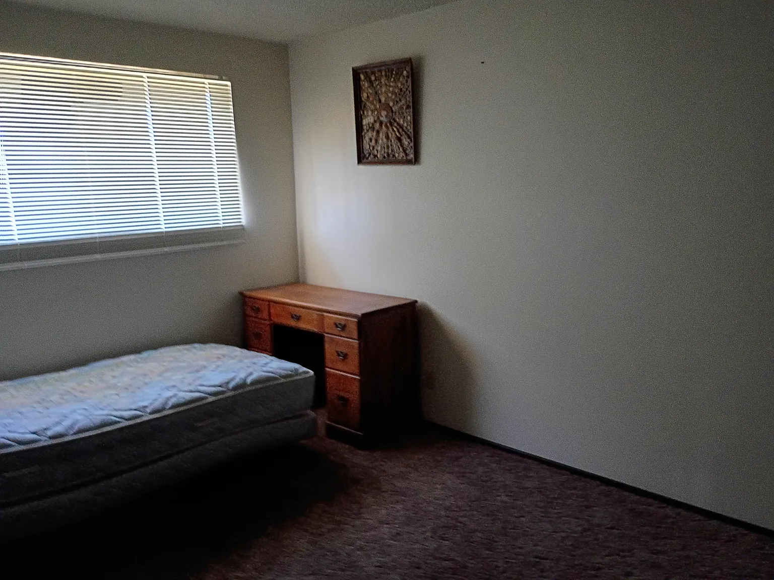 3 bed, $800 — Photo 3