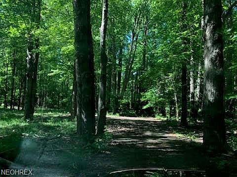 1st image of 38501 Dodds Landing Dr