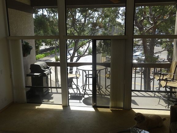 Floor to ceiling windows