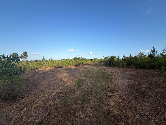 3rd image of Mount Bethel Rd