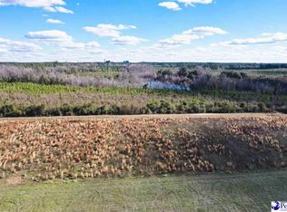 9 Liberty Chapel Rd, Florence, SC 29506