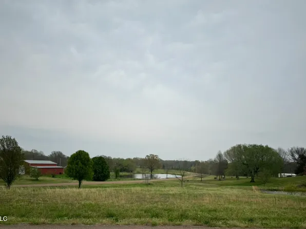 1 Poagville Rd, Coldwater, MS 38618
