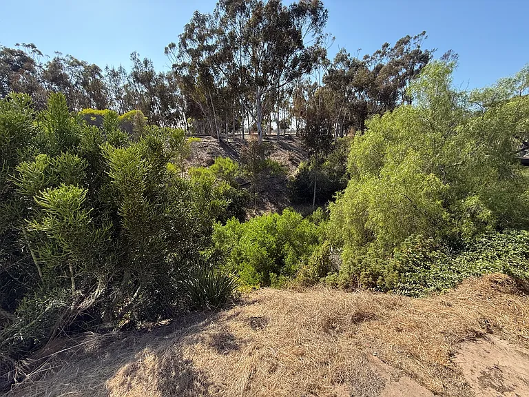 1818 Granada Ave #4 — Photo 9