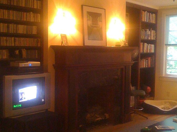 sixteen feet of bookshelves & gas log fireplace