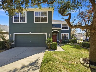 7310 Brightwater Oaks Dr, Tampa, FL, 33625
